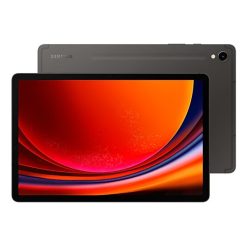 Galaxy Tab S9 gray